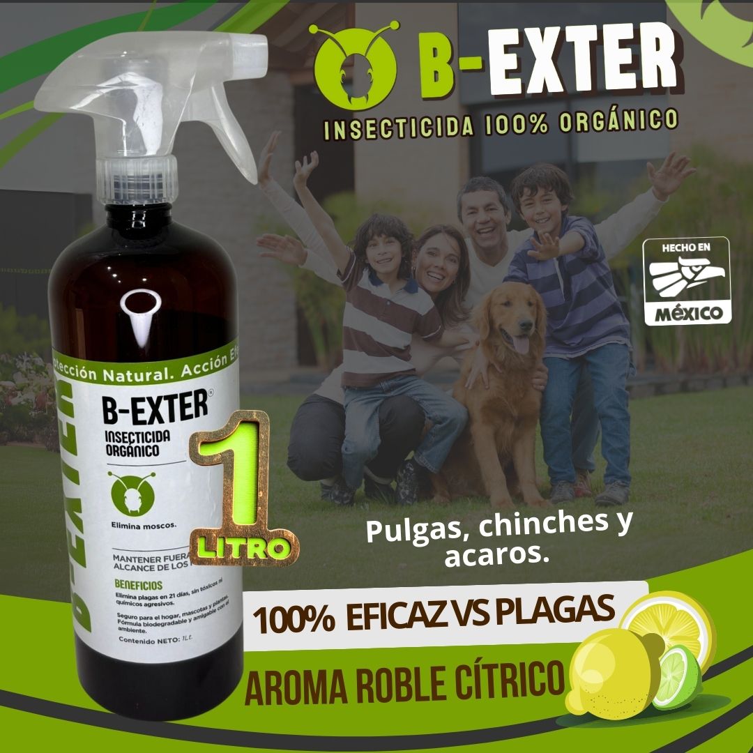 B-EXTER® Insecticida Orgánico Líquido 1Lt - Pulgas, chinches y acaros