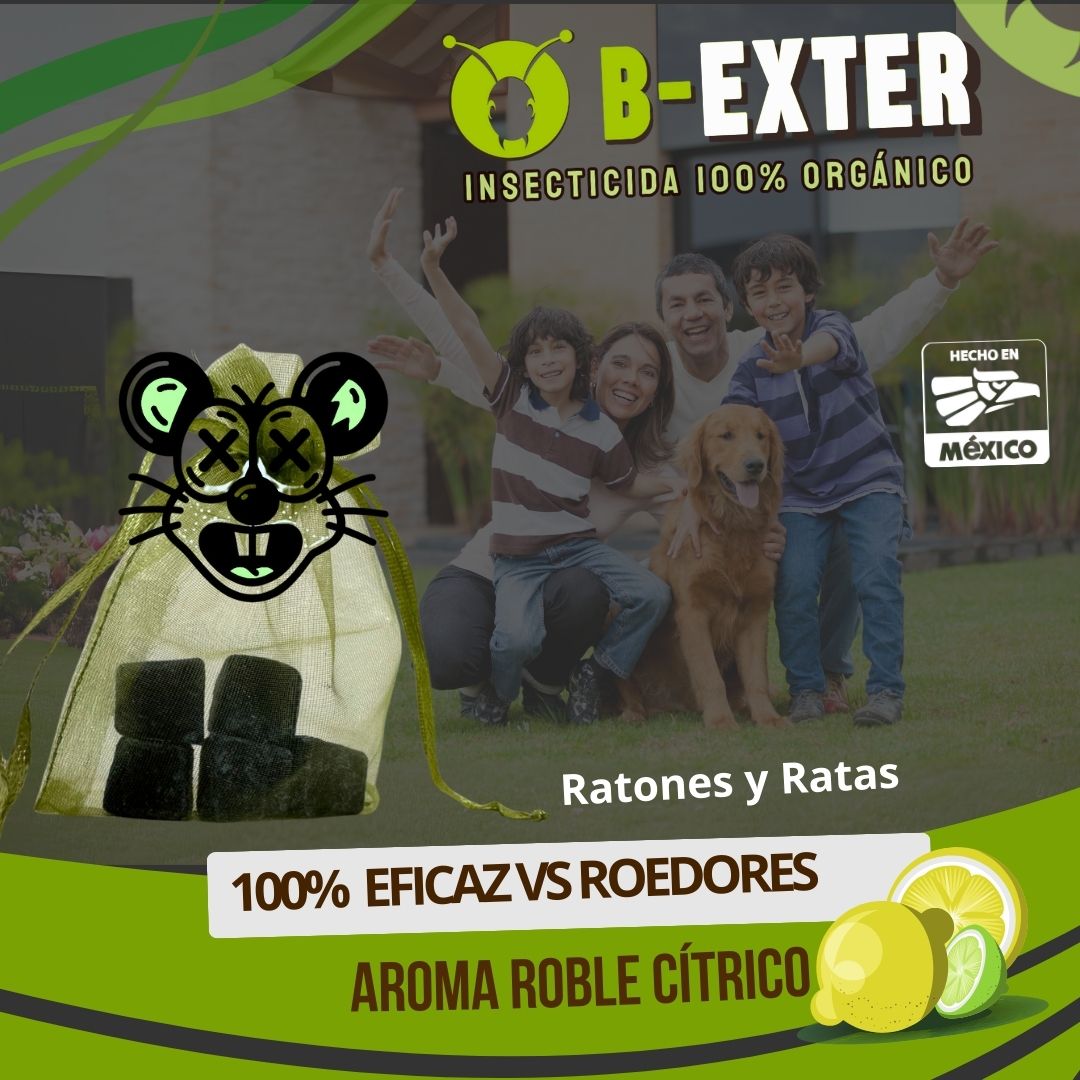 B-EXTER® Insecticida Orgánico Líquido 1Lt - Ratones y Ratas